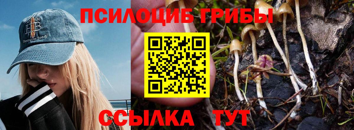 Севастополь  Галлюциногенные грибы мицелий  Вход с VPN  Галлюциногенные грибы GOLDEN TEACHER 